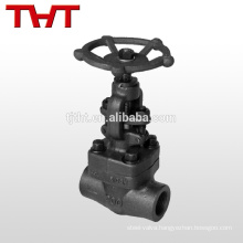 forged steel A105 socket welded type globe valve